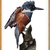 Cuadro Martín pescador