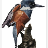 Cuadro Martín pescador