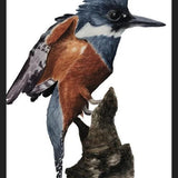 Cuadro Martín pescador