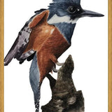 Cuadro Martín pescador