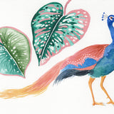 Canvas Pavo real