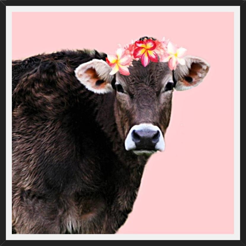 Cuadro Aloha Cow I