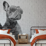 Papel Mural Black Dog