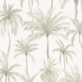 Papel Mural Palmeras Tropicales