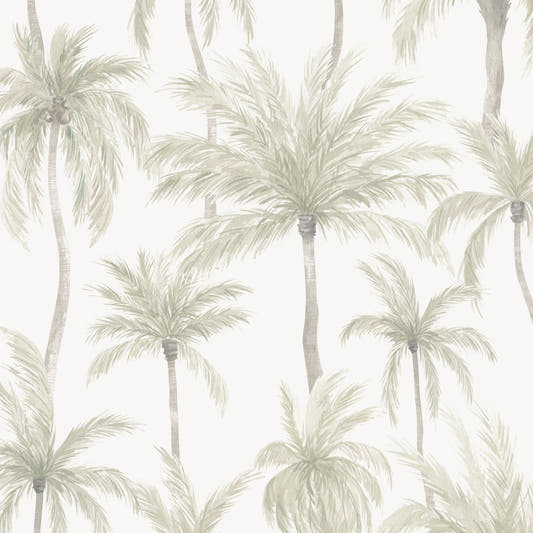 Papel Mural Palmeras Tropicales