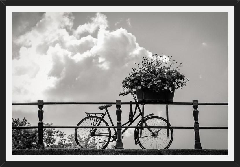 Cuadro Bicicleta y flores en canales Amsterdam