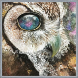 Cuadro Lechuza universo