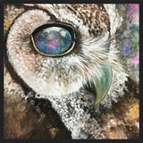 Cuadro Lechuza universo