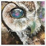 Cuadro Lechuza universo