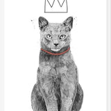 Cuadro King of everything