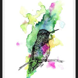 Cuadro Colibri 1