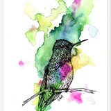 Cuadro Colibri 1