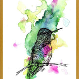 Cuadro Colibri 1