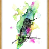 Cuadro Colibri 1