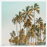 Cuadro Island Life III