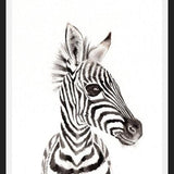 Cuadro zebrita