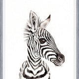 Cuadro zebrita