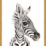 Cuadro zebrita