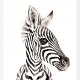 Cuadro zebrita