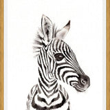 Cuadro zebrita