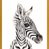 Cuadro zebrita