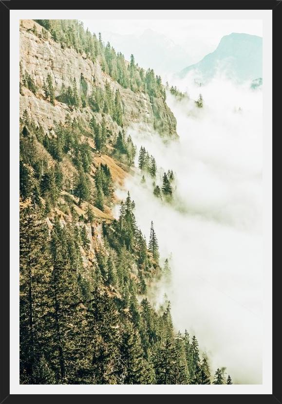 Cuadro Hills & Fog
