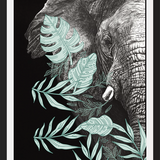 Cuadro elefantecon ilustraciones de hojas