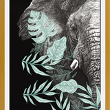 Cuadro elefantecon ilustraciones de hojas