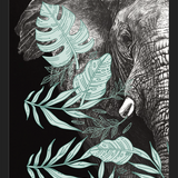 Cuadro elefantecon ilustraciones de hojas