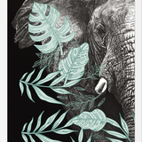 Cuadro elefantecon ilustraciones de hojas