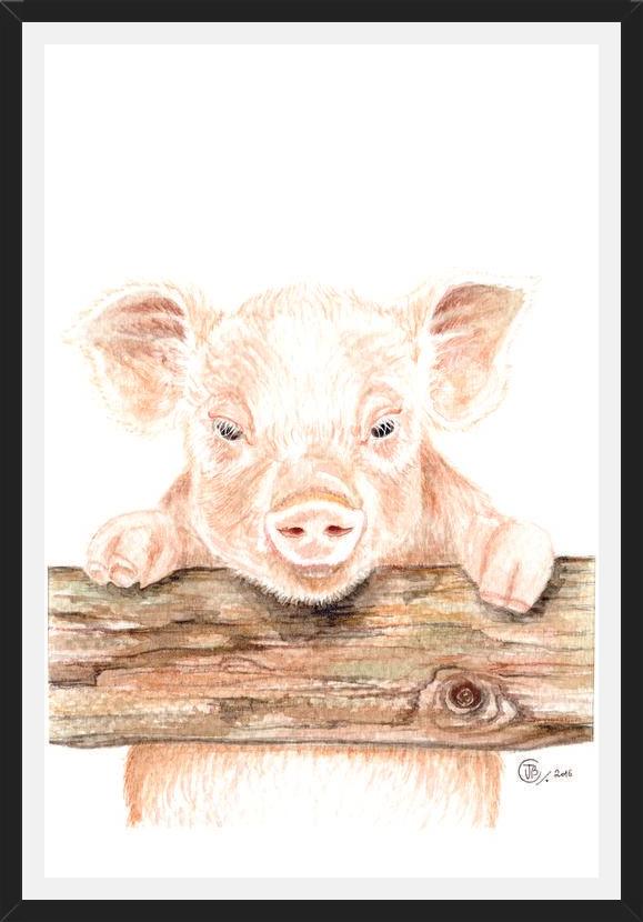 Cuadro cerdito