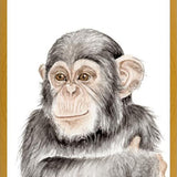 Cuadro Chimpancé