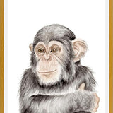 Cuadro Chimpancé