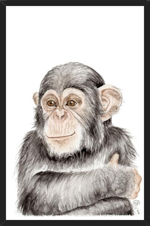 Cuadro Chimpancé