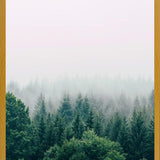 Cuadro The Fog And The Forest I