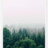 Cuadro The Fog And The Forest I