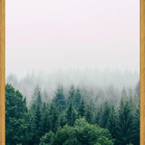 Cuadro The Fog And The Forest I