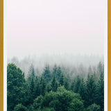 Cuadro The Fog And The Forest I