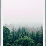 Cuadro The Fog And The Forest I