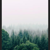 Cuadro The Fog And The Forest I