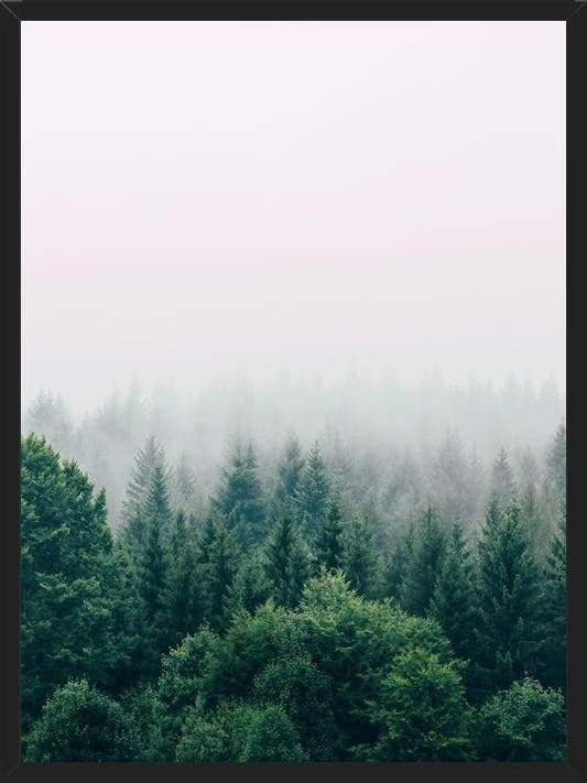 Cuadro The Fog And The Forest I