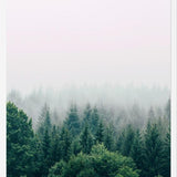 Cuadro The Fog And The Forest I