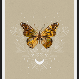 Cuadro Mariposa Mistica