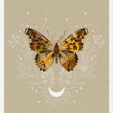 Cuadro Mariposa Mistica