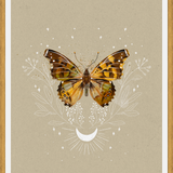 Cuadro Mariposa Mistica