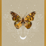 Cuadro Mariposa Mistica