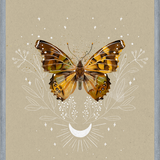 Cuadro Mariposa Mistica