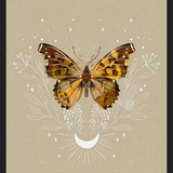 Cuadro Mariposa Mistica