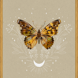 Cuadro Mariposa Mistica