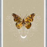 Cuadro Mariposa Mistica